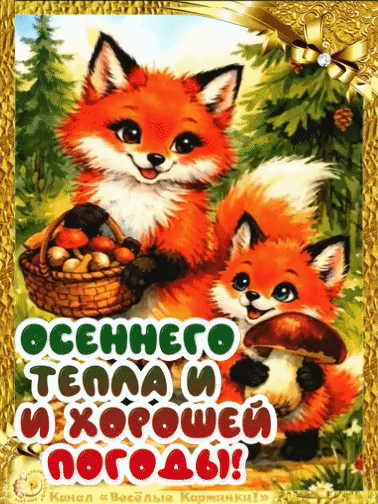 Канал Весёлые картинки!