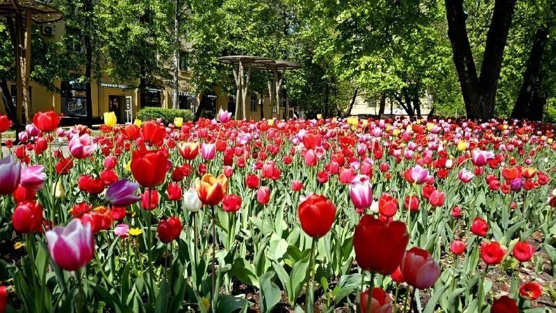 Фото