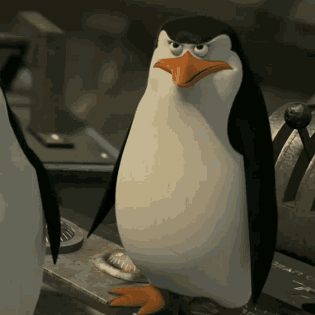 МЕМЫ 

🤣 — нравится 

~ Напишите запросы в комментариях, буду все выкладывать 💕

ГИФКИ
