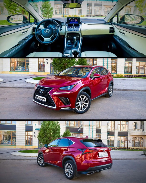 Фото