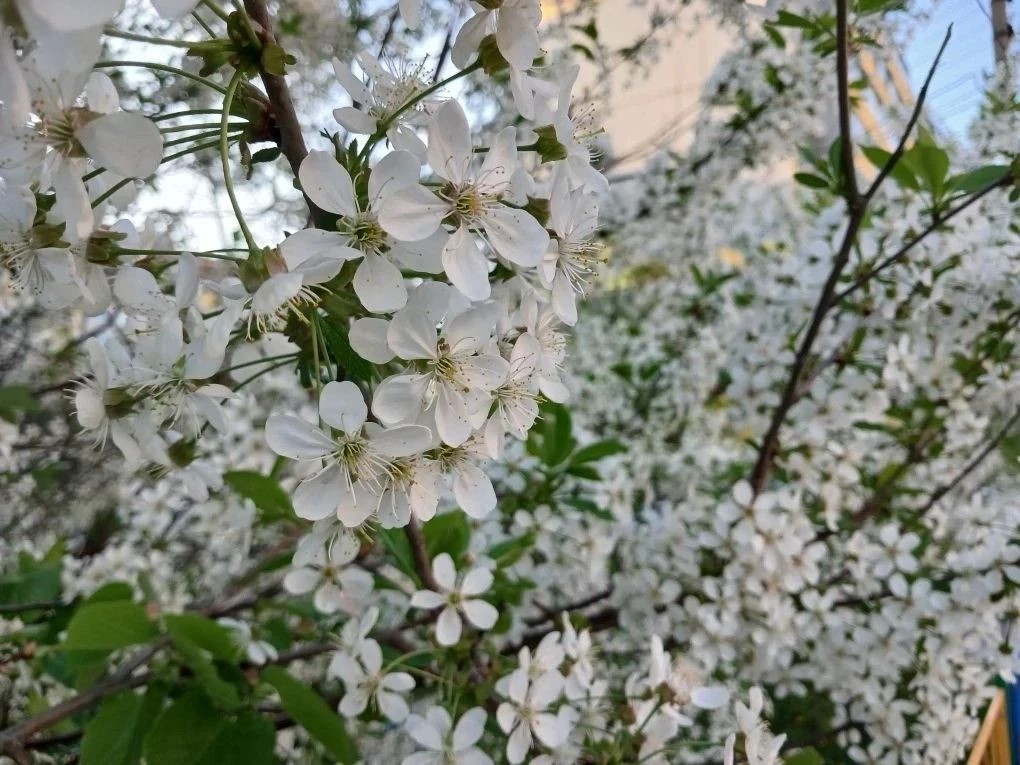 Фото