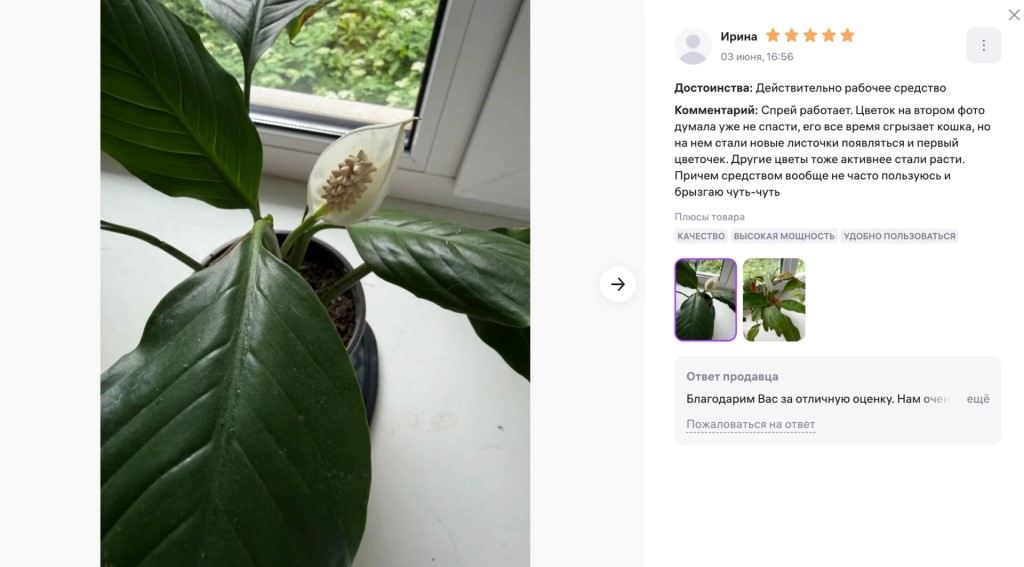 Фото