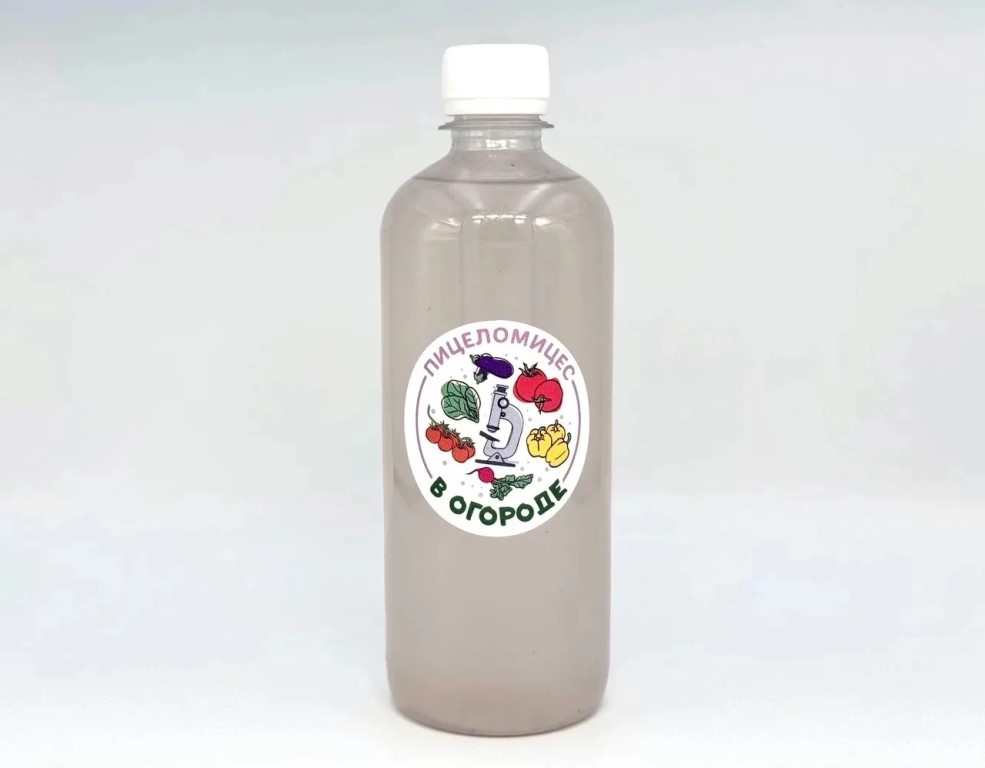 Фото