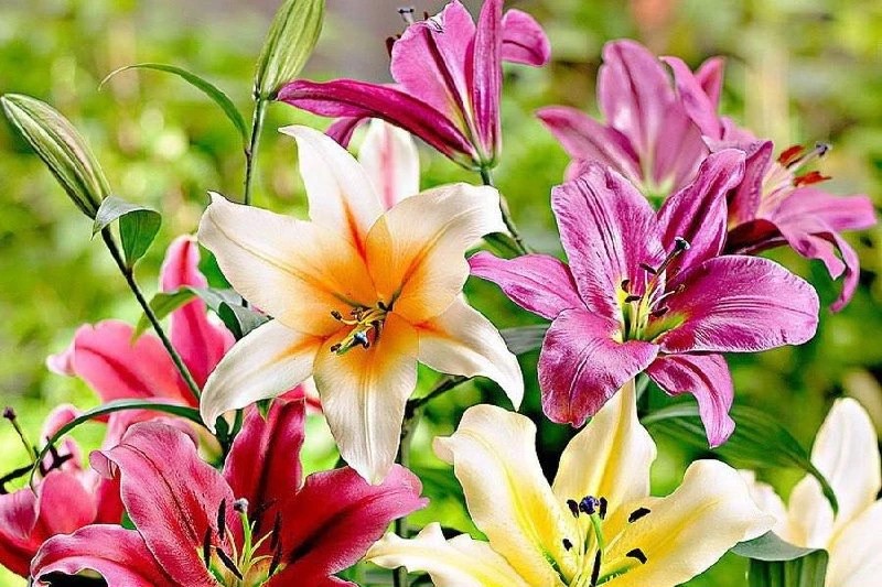 Фото