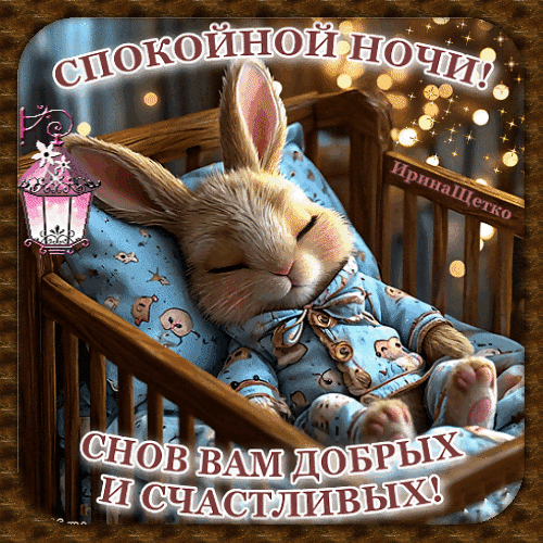 ЖИВЫЕ ОТКРЫТКИ🫶🏻