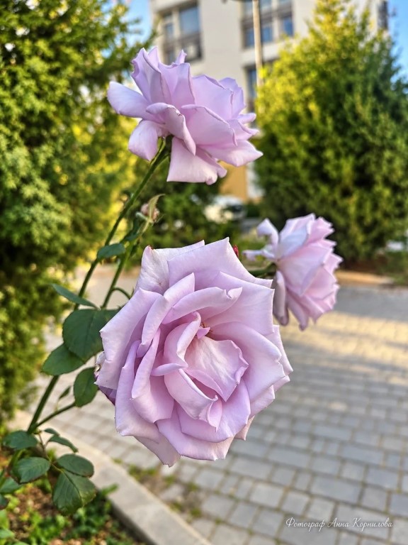 Фото