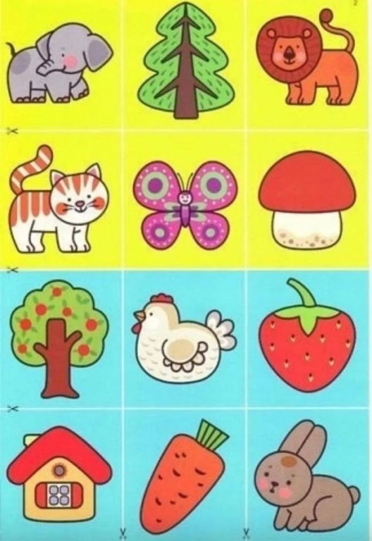 Фото