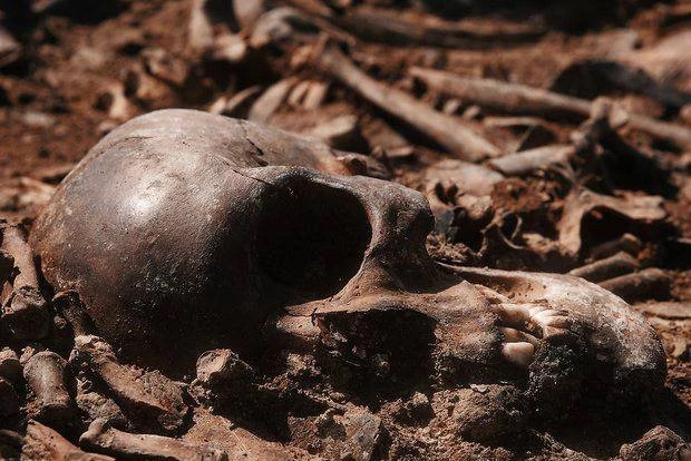 Фото
