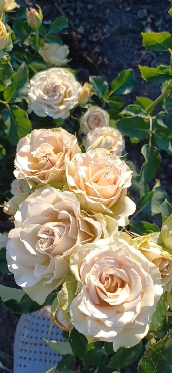 Фото