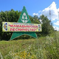 ГКУ "Мамадышское лесничество"