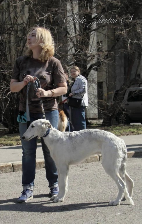 Фото