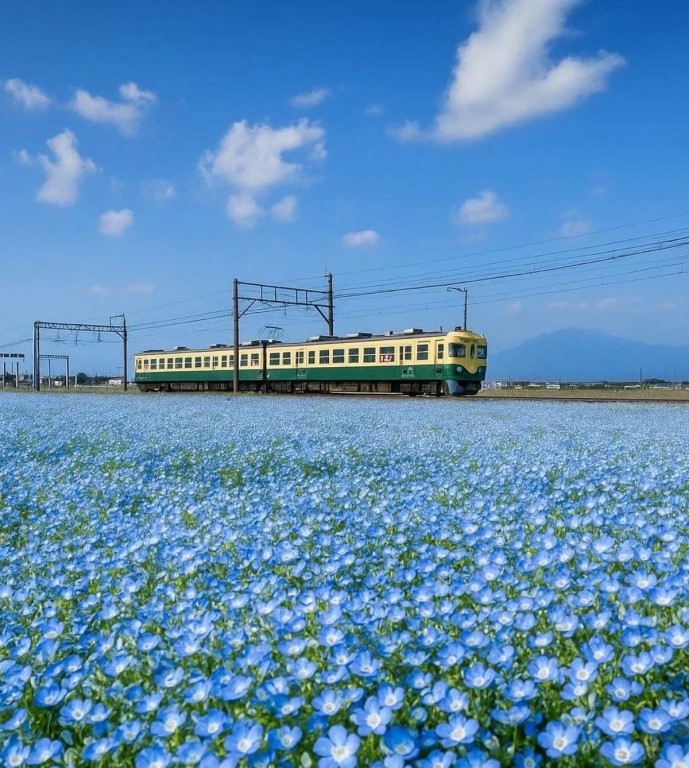 Фото