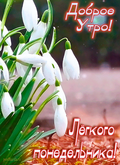 🌦 Сегодня, 15 июня, в Барнауле будет тепло, но местами дождливо

Утром ожидается около +21° и облач