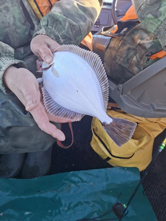 Фото