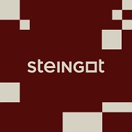 STEINGOT | Сложилось идеально