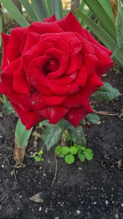 Фото