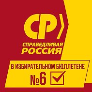 СПРАВЕДЛИВАЯ РОССИЯ в Иркутской области