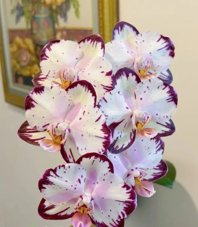 Фото