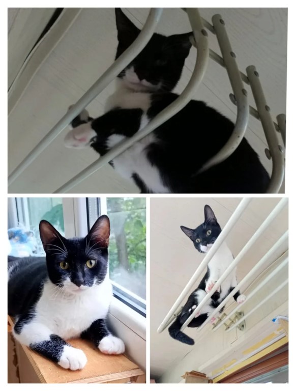 Фото