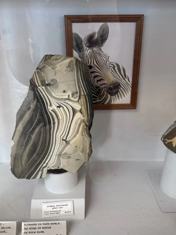 Фото