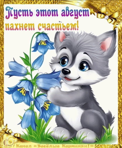 Канал Весёлые картинки!