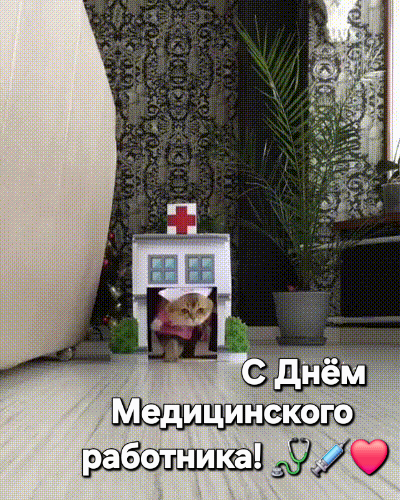 Добрый Мурзик 😻
