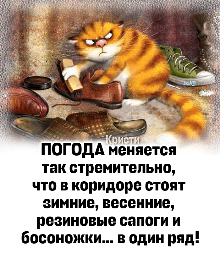 Смешно?😃 Жми лайк, пока не забыл. А подписка — чтобы не потерять того, кто поднимает тебе настроени