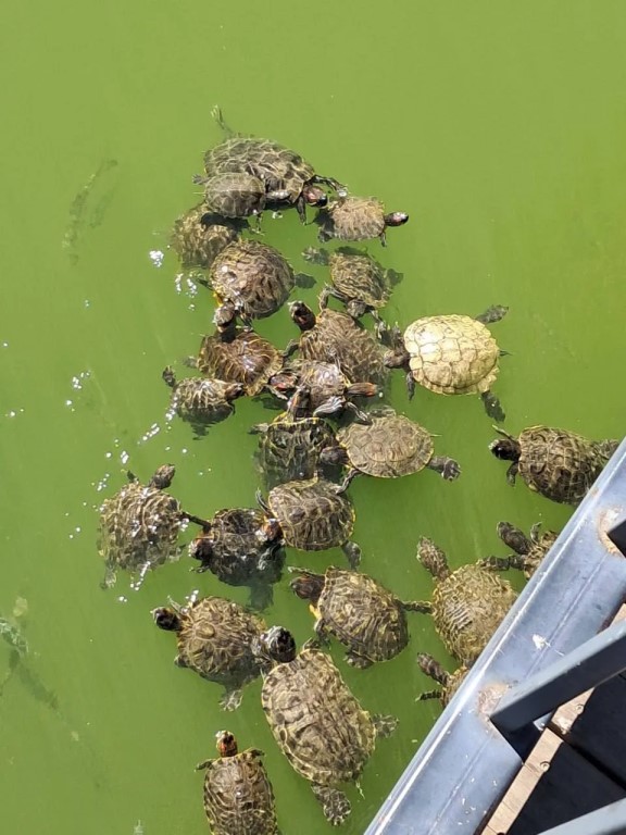 Фото