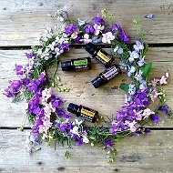 Чудо Эфирные Дары Природы. Масла, Травы, Специи