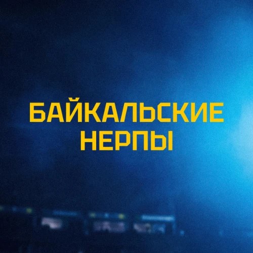 «Байкальские нерпы» клуб по чир спорту — канал в мессенджере MAX
