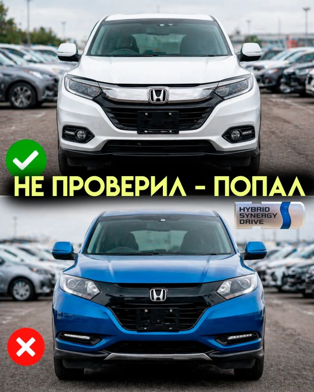 Фото