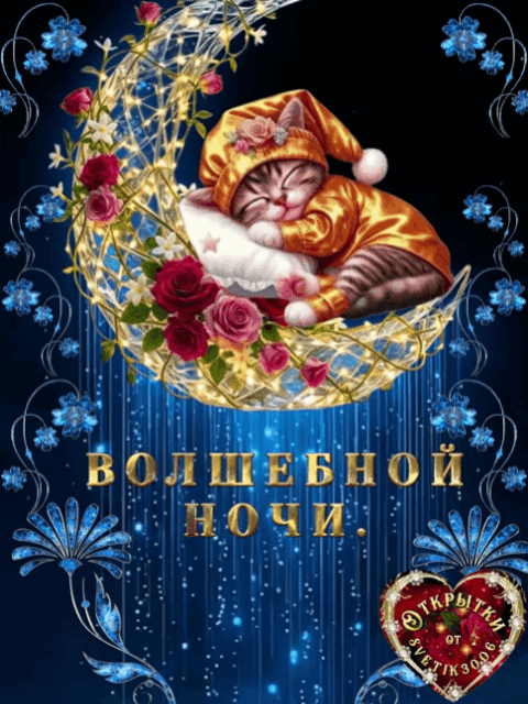 Волшебной ночи.
