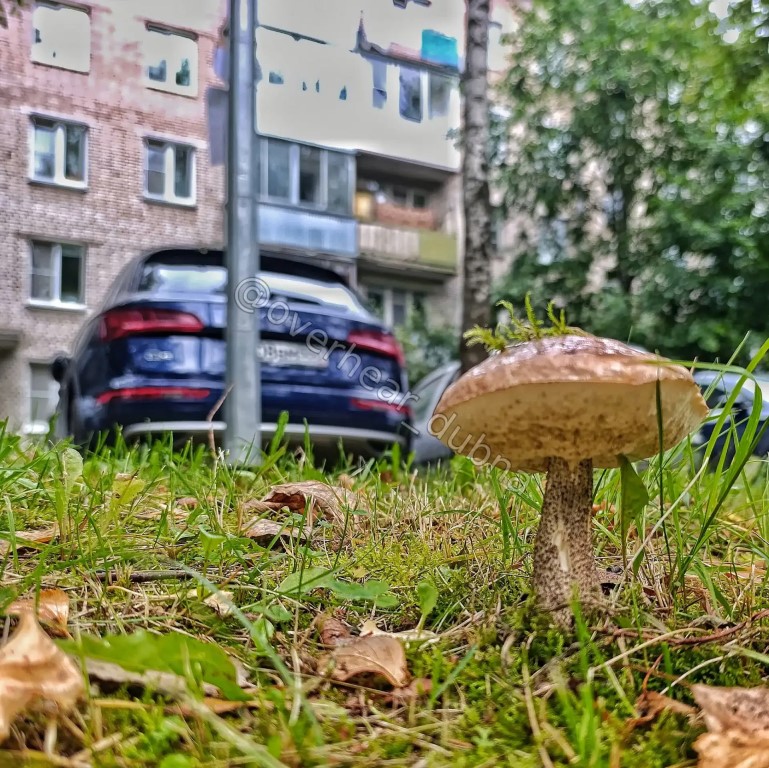 Фото