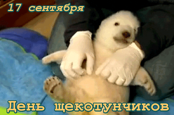 ℰӁℰ - ՈǷᎯՅДℋИҠ                                                                         ...