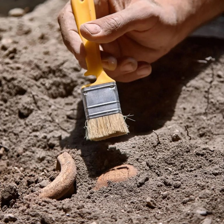 Фото