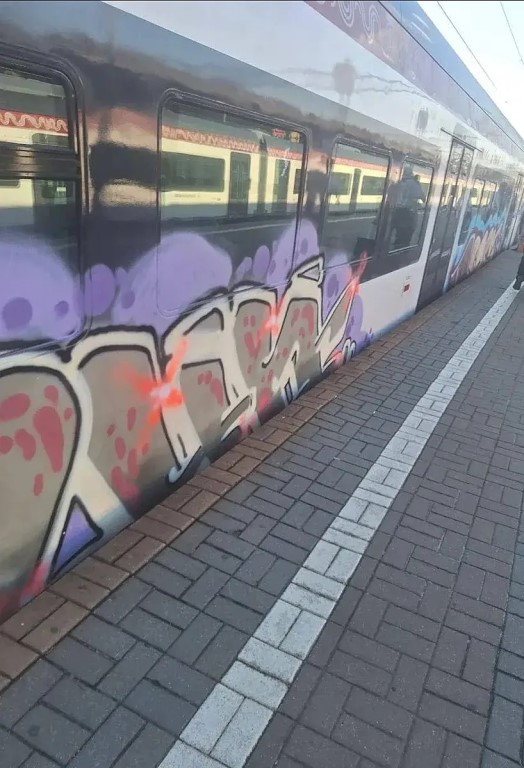 Фото