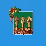 Социальное управление города Пензы