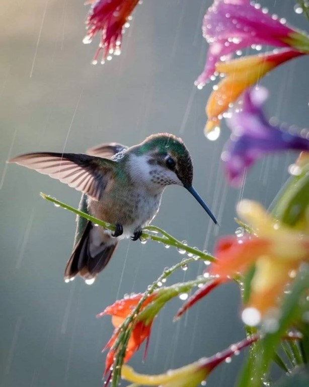 Фото