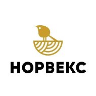 Норвекс: деревянные дома