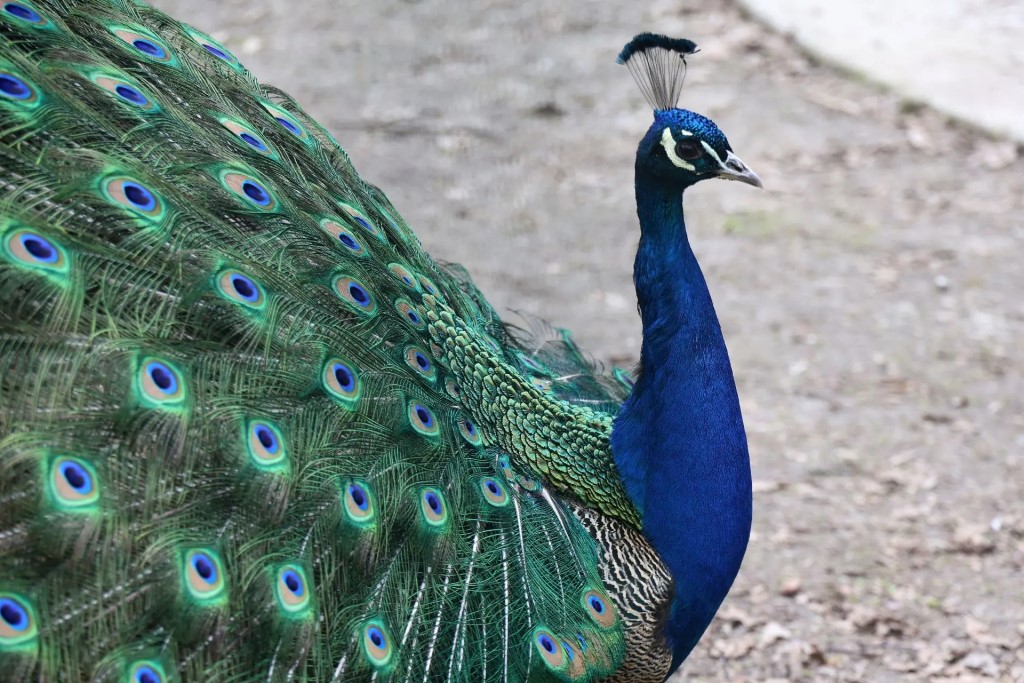 Фото