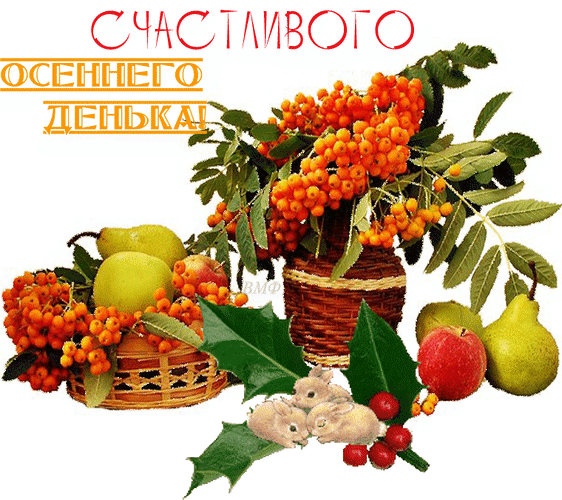 ❤ Дарим эмоции по МАКСимуму ✨