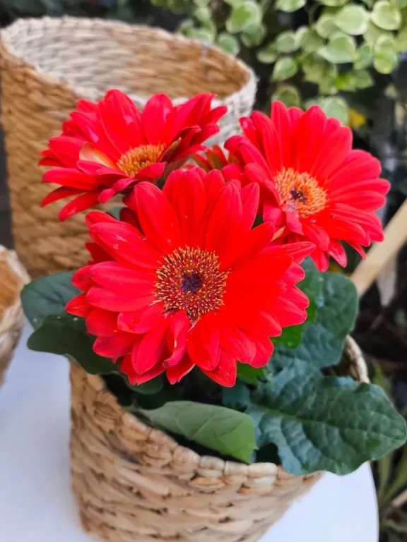 Фото