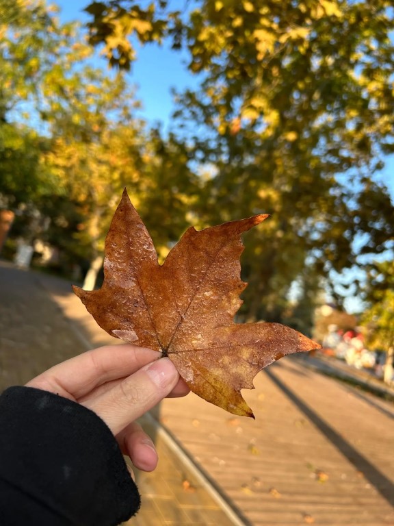 Фото