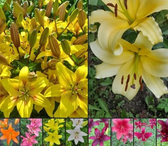 Фото