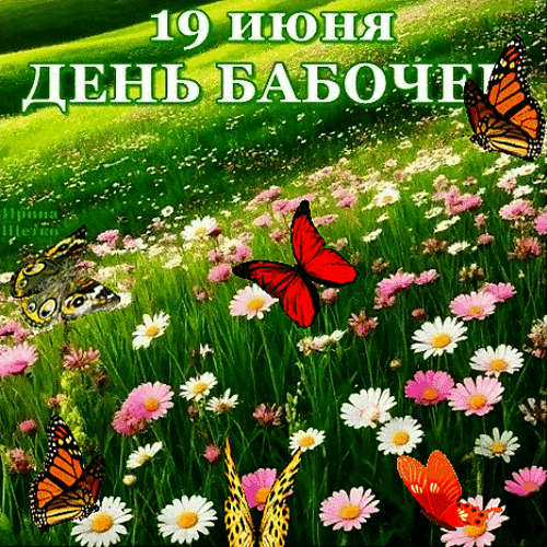 🦋 День бабочек! Чудо, которое мы можем сохранить.
Друзья, сегодня мы отмечаем экологический праздни