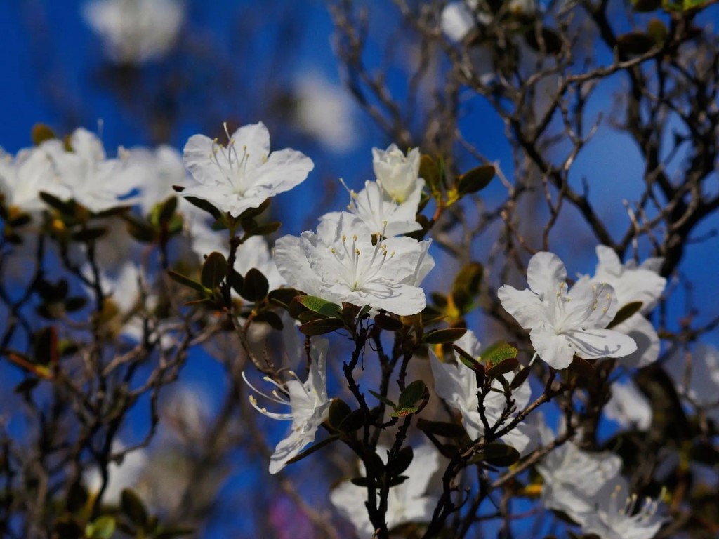 Фото