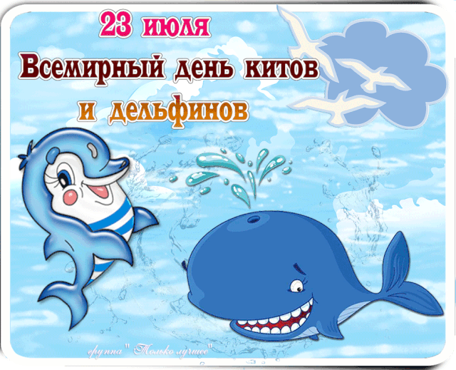 День дельфина и кита — праздник, посвящённый дельфинам и китам. Он помогает детям узнать об этих жив