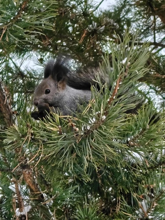 Фото