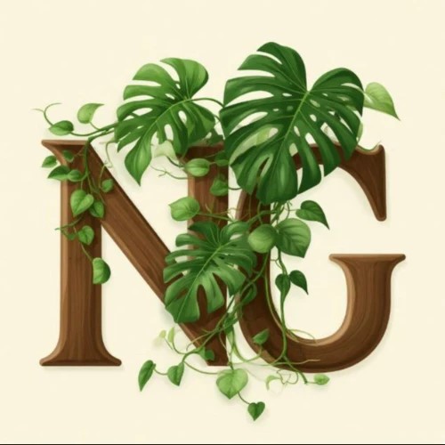 бот для заказов