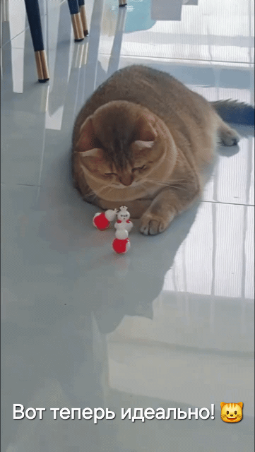 Добрый Мурзик 😻